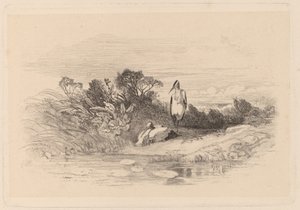 Hérons - Karl Bodmer