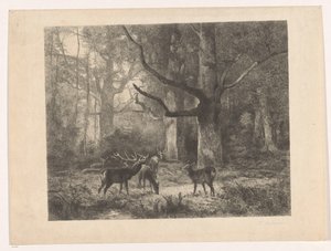 Cerfs dans une forêt - Karl Bodmer