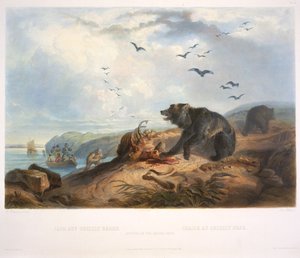 Chasse à l