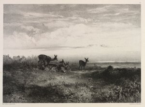 Paysage avec des cerfs
