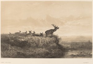 Le Matin - Karl Bodmer