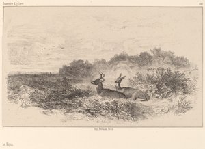 Le Repos - Karl Bodmer