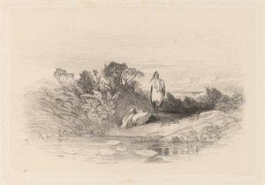 Les Deux Hérons - Karl Bodmer