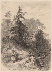 Les Faisans - Karl Bodmer