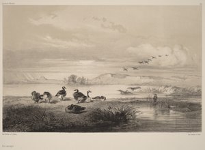  - Karl Bodmer