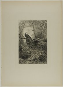 Paons sur une branche - Karl Bodmer