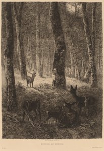 Retour au bercail