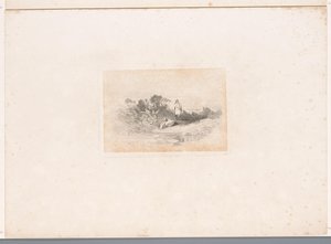 Deux hérons au bord de l