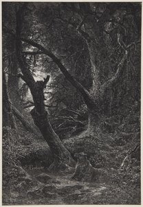  - Karl Bodmer