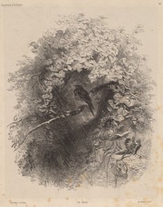 Un abri - Karl Bodmer