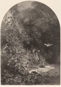 Un coin de jardin - Karl Bodmer