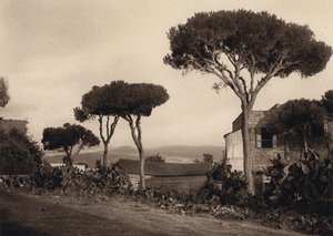 Liban, paysage - Karl Grober