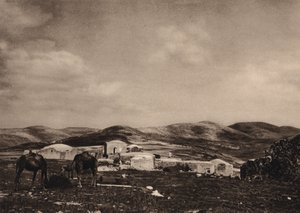 Samarie, vue des ruines du palais d