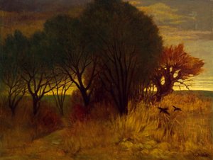Paysage de lande - Karl Haider