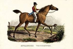 Cheval de course anglais, 1824 - Karl Joseph Brodtmann