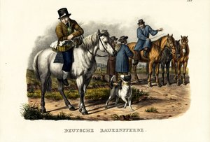 Chevaux de ferme allemands, 1824 - Karl Joseph Brodtmann