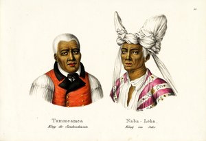 Tammeamea 1er - Roi d