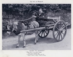 Aller au marché