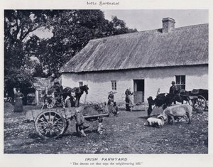 Cour de ferme irlandaise - Karl Karlovich Piratsky