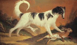 Chien et lièvre - Karl Kaspar Pitz