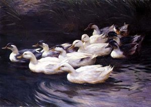 Canards
