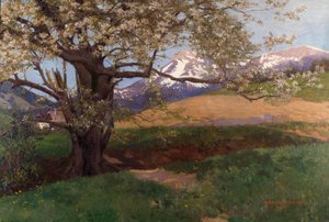 Cerisier en fleurs