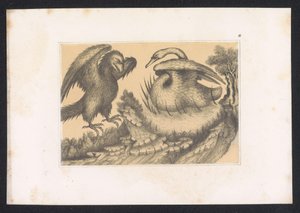Cygne et aigle