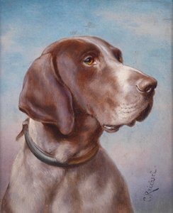Portrait de chien - Karl Reichert