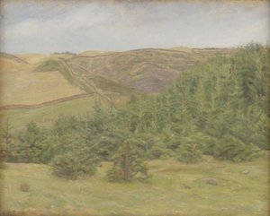 Collines de Svanninge, Fionie