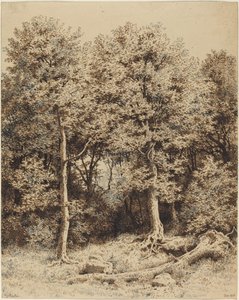 Un bosquet d