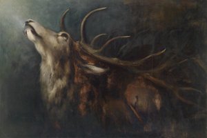 Cerf mourant