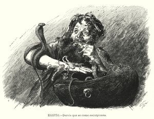 Derviche mangeur de scorpions, Égypte - Karl Wilhelm Gentz