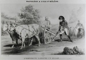 Napoléon (1769-1821) à Sainte-Hélène, gravé par François le Villain - Karl after Loeillot Hartwig
