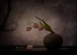  - Katarina Holmström