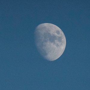 Regardez la lune, 2021 (photo)