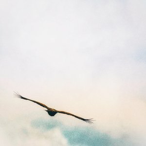 Dans les nuages - Katha Wood