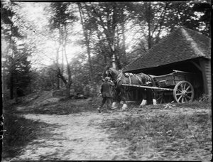 Groombridge, Speldhurst, Tunbridge Wells, Kent, 20/05/1911 (photo n/b) - Katherine Jean Macfee