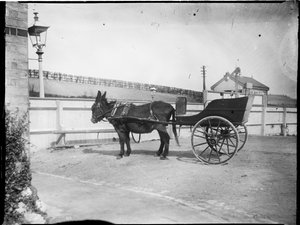 Gare de Hollingbourne, Hollingbourne, Maidstone, Kent - Katherine Jean Macfee