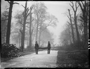Jardins de Kensington, Hyde Park, Cité de Westminster, Londres
