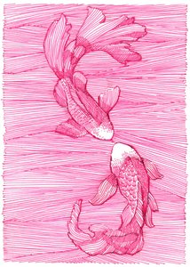  - Katie O'Shea