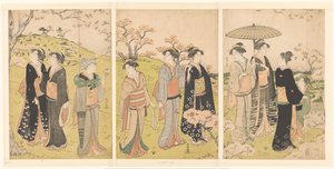 Admiration des fleurs de cerisier à Asukayama