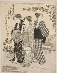Trèfles en été, de la série "Les plus beaux odes sur les fleurs des quatre saisons (Shuku awase, shiki no hana)" - Katsukawa Shuncho
