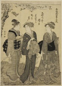 Fleurs de cerisier au printemps, de la série "Les plus beaux odes aux fleurs des quatre saisons (Shuku awase, shiki no hana)" - Katsukawa Shuncho