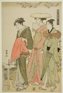 Fleurs, de la série "Neige, lune et fleurs du monde flottant" - Katsukawa Shuncho