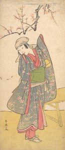 Le quatrième Iwai Hanshiro en jeune fille debout près d