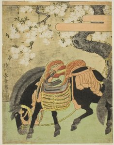 Cheval noir attaché sous un cerisier en fleurs - Katsukawa Shunsho