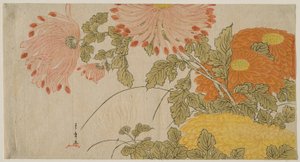Chrysanthèmes - Katsukawa Shunsho