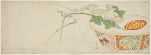 Plantes, bol en porcelaine et gobelet en verre
