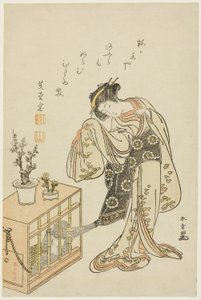 Jeune femme avec un singe en cage (impression de calendrier pour le Nouvel An 1776) - Katsukawa Shunsho