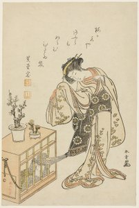 Jeune femme avec un singe en cage (estampe de calendrier pour la nouvelle année 1776) - Katsukawa Shunsho